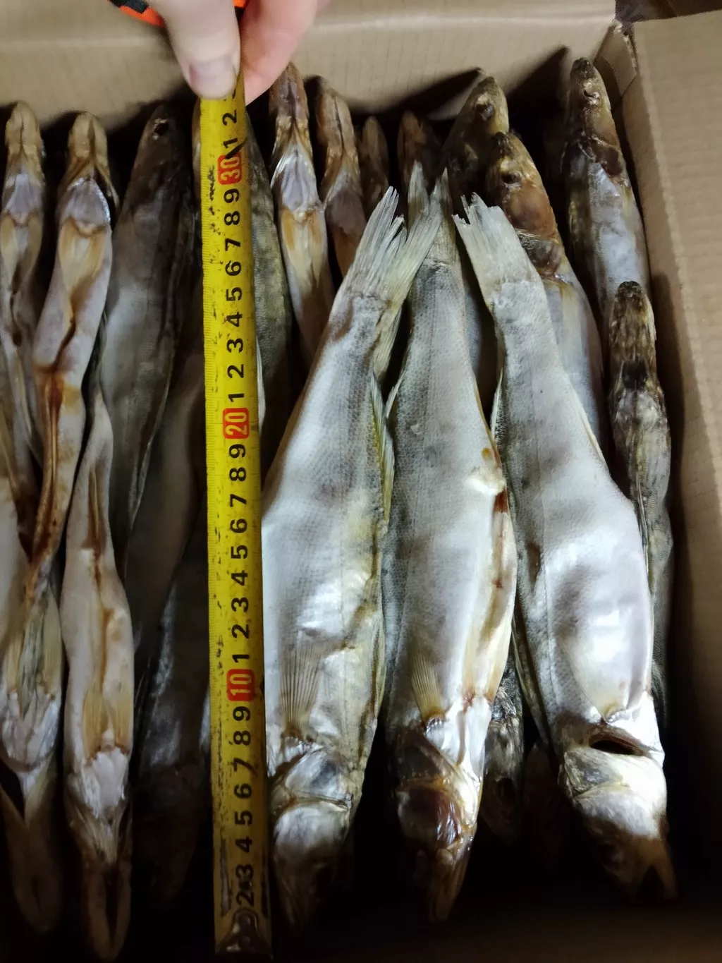 вяленная  рыба от производителя  в Ставрополе и Ставропольском крае 7